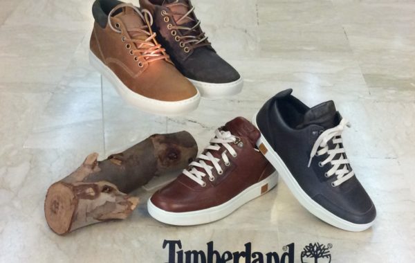 Collezione Uomo Timberland