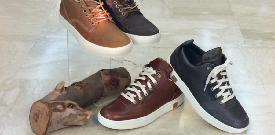 Collezione Uomo Timberland